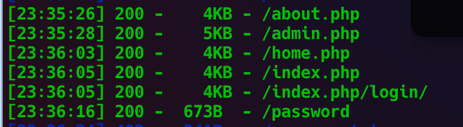 image-20250606233650914