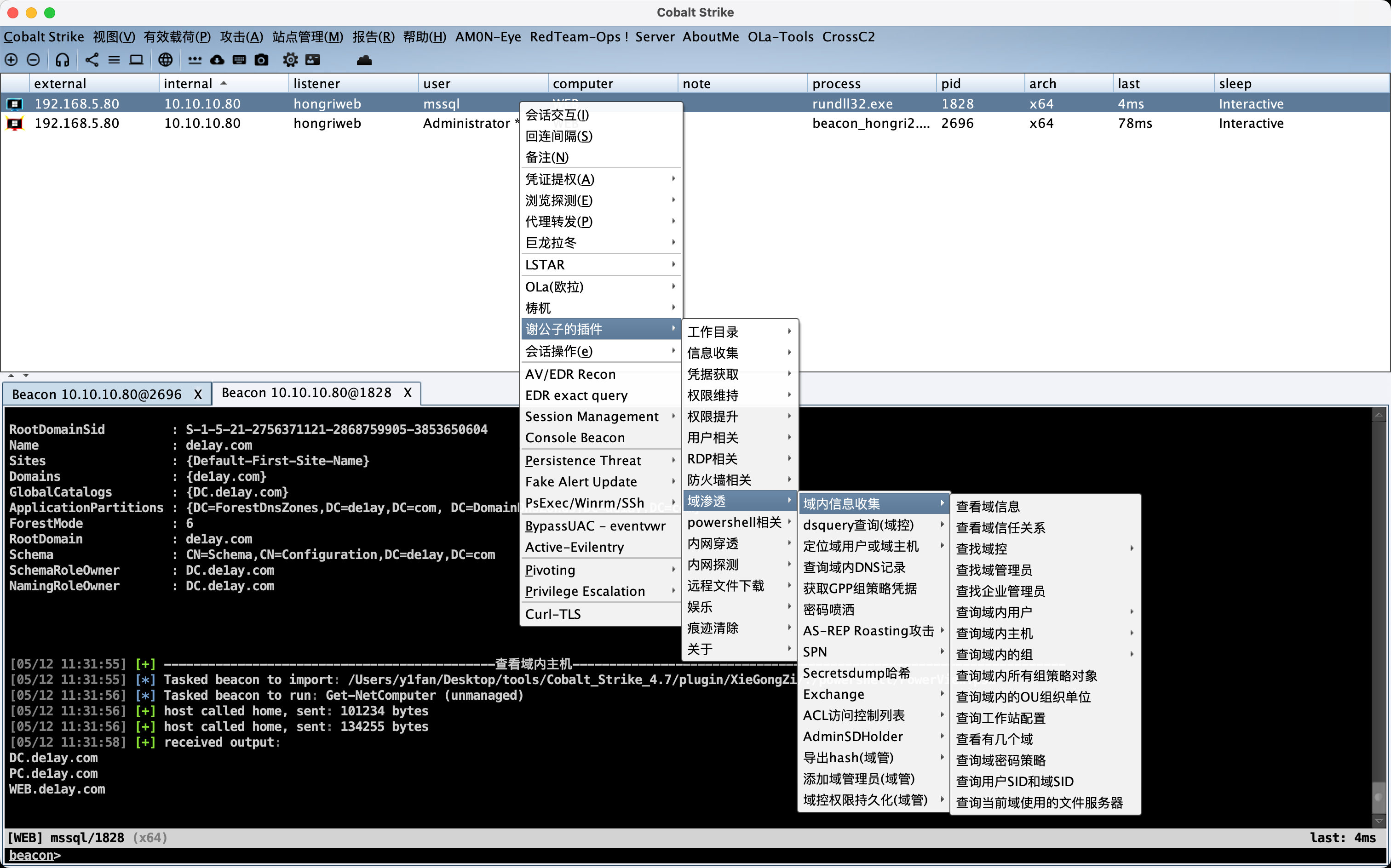 image-20250512113225241