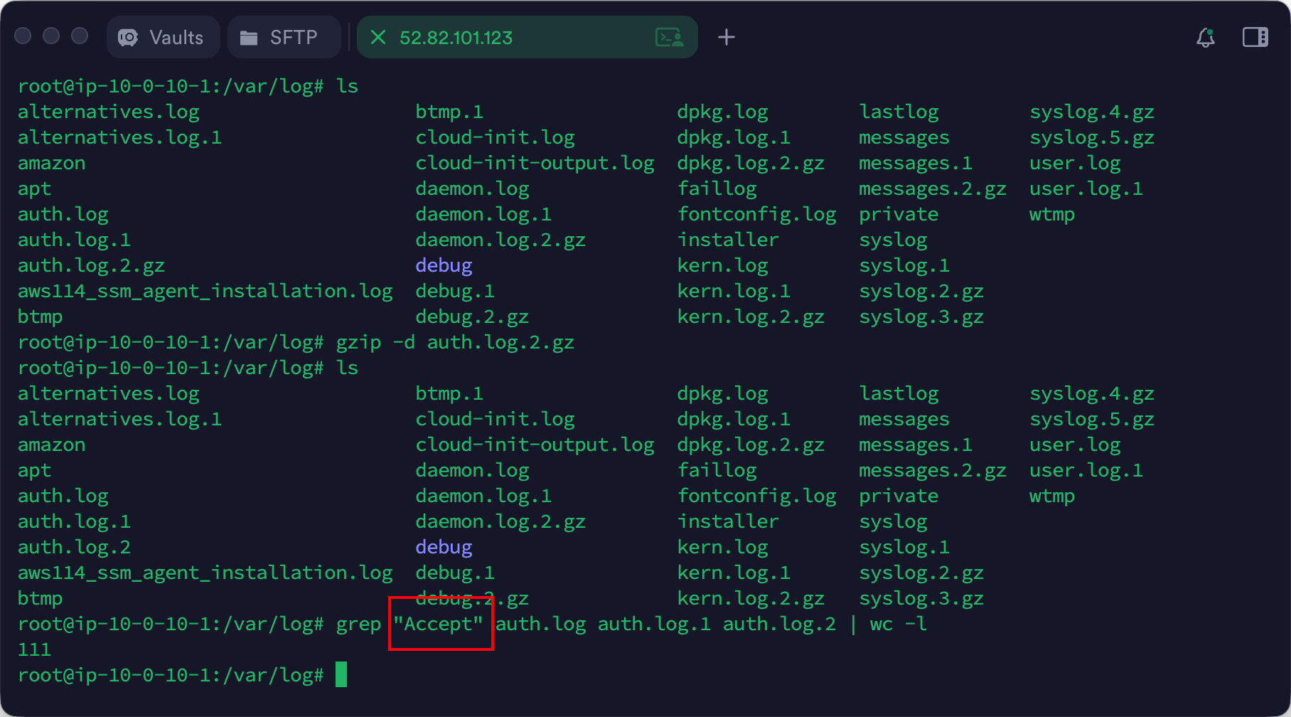 image-20260305102610290